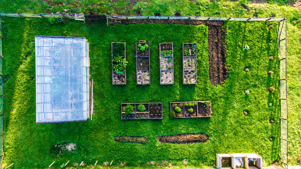 Diseño de área de producción de alimentos diseno de huerto