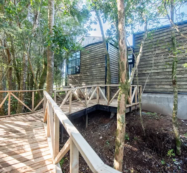 Puente de madera que conecta la Casa II con el bosque nativo. Demuestra la integración con la naturaleza y el uso de madera.